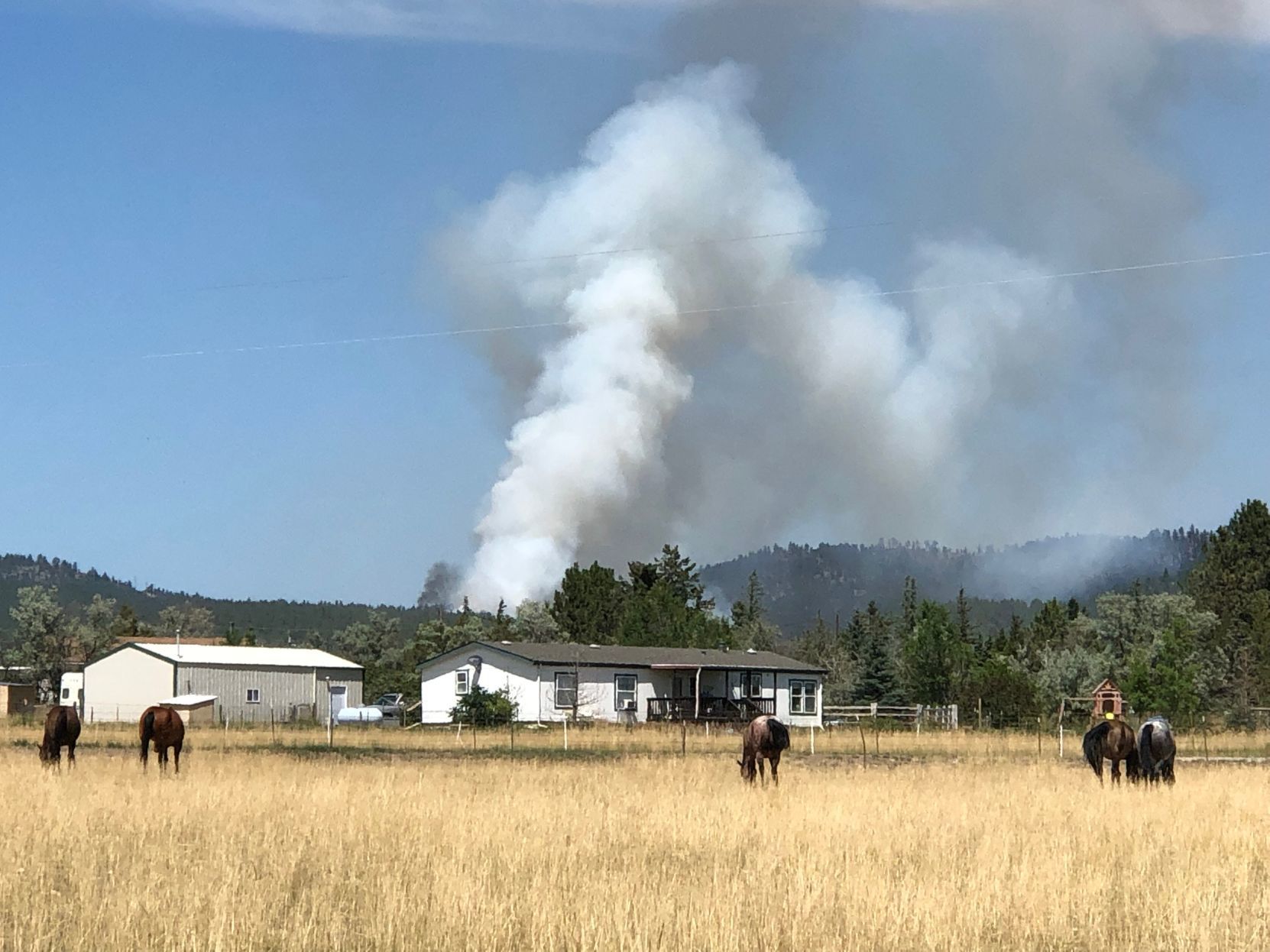 North Hills Fire